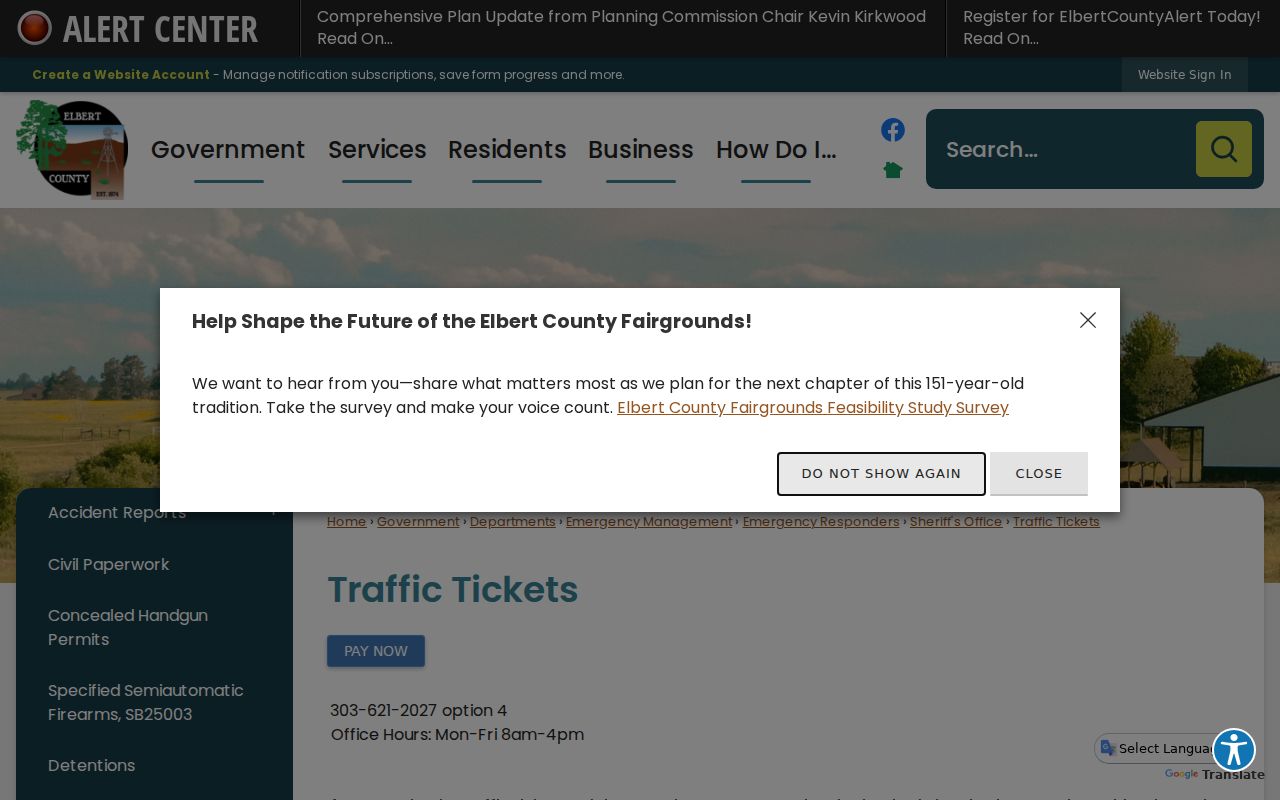 Elbert County official traffic ticket PAY NOW interface